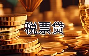 蚌埠税票贷